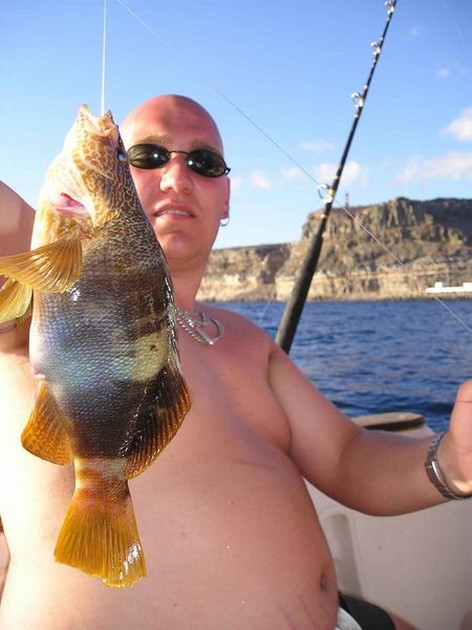 wrasse Cavalier & Blue Marlin Sport Fishing Gran Canaria