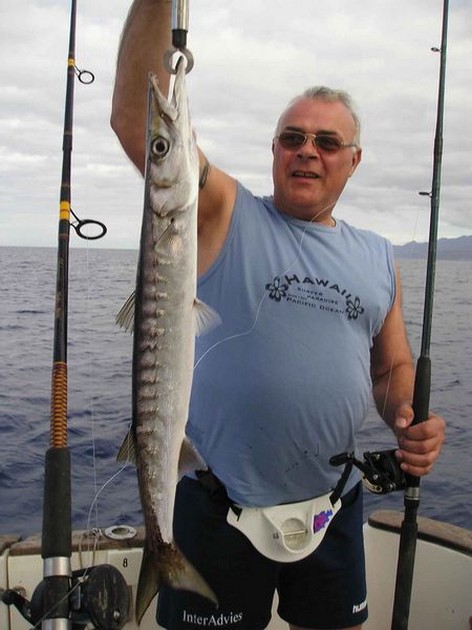 baracuda Cavalier & Blue Marlin Sport Fishing Gran Canaria
