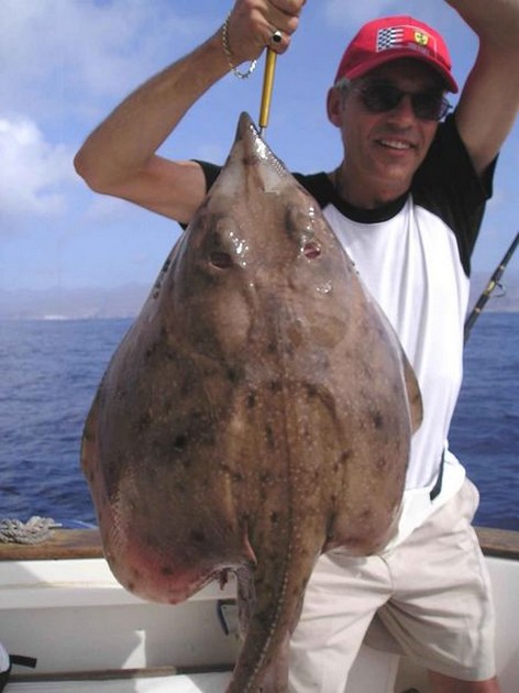 thornback ray Cavalier & Blue Marlin Sport Fishing Gran Canaria