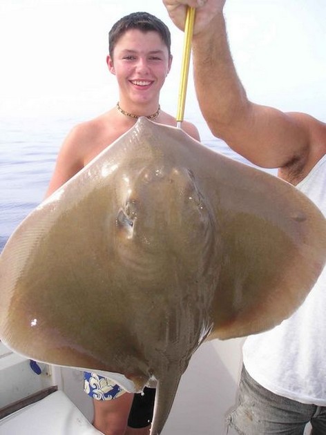 common stingray Cavalier & Blue Marlin Sport Fishing Gran Canaria