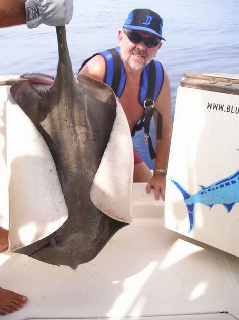 round stingray Cavalier & Blue Marlin Sport Fishing Gran Canaria