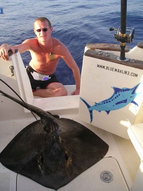common stingray Cavalier & Blue Marlin Sport Fishing Gran Canaria