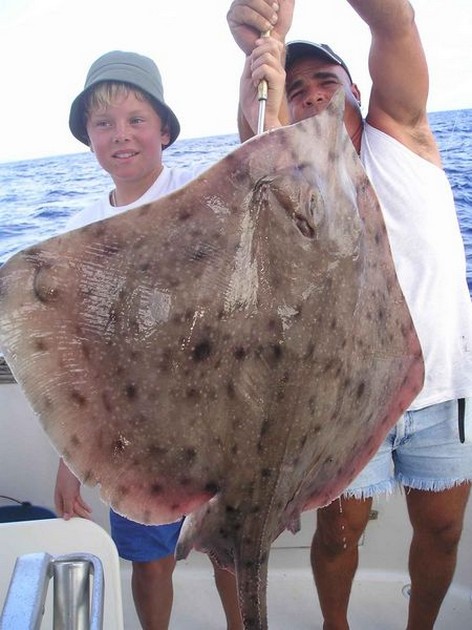 thornback ray Cavalier & Blue Marlin Sport Fishing Gran Canaria