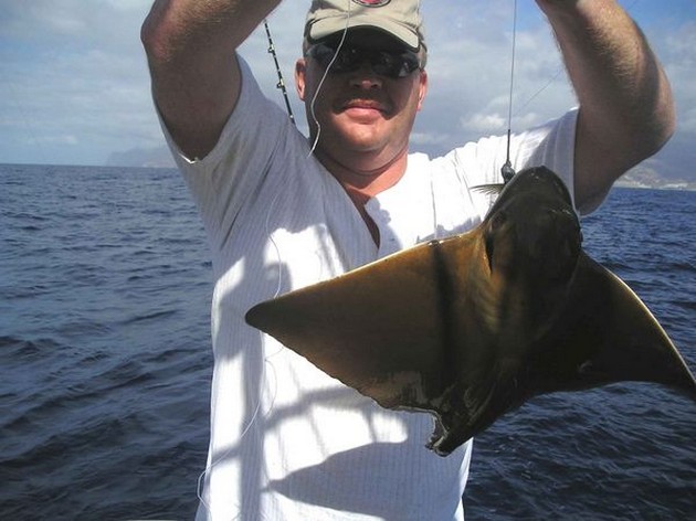 eagle ray Cavalier & Blue Marlin Sport Fishing Gran Canaria