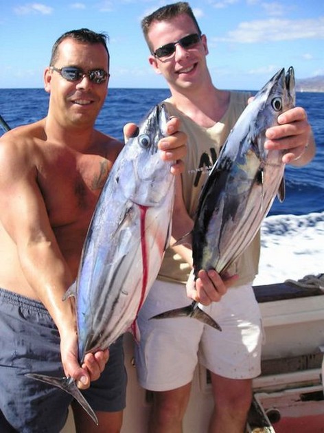 skipjack tuna Cavalier & Blue Marlin Sport Fishing Gran Canaria