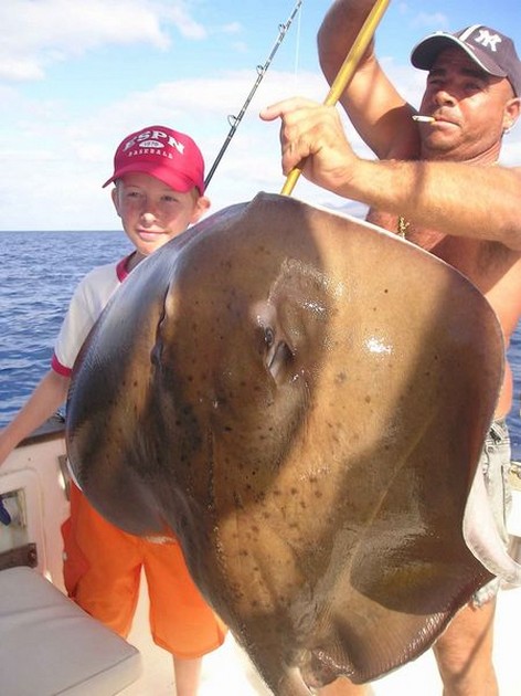 round stingray Cavalier & Blue Marlin Sport Fishing Gran Canaria