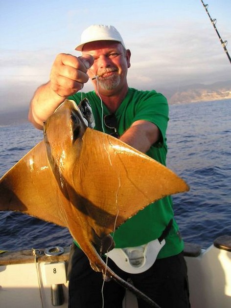 eagle ray Cavalier & Blue Marlin Sport Fishing Gran Canaria