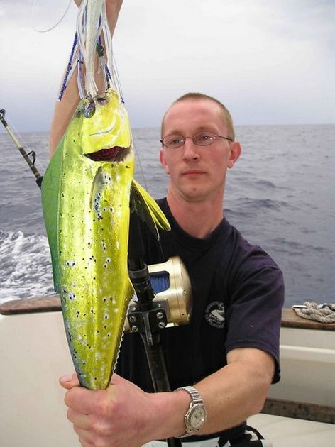 dorado Cavalier & Blue Marlin Sport Fishing Gran Canaria