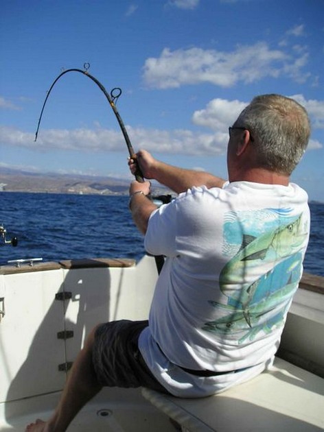 hooked up Cavalier & Blue Marlin Sport Fishing Gran Canaria