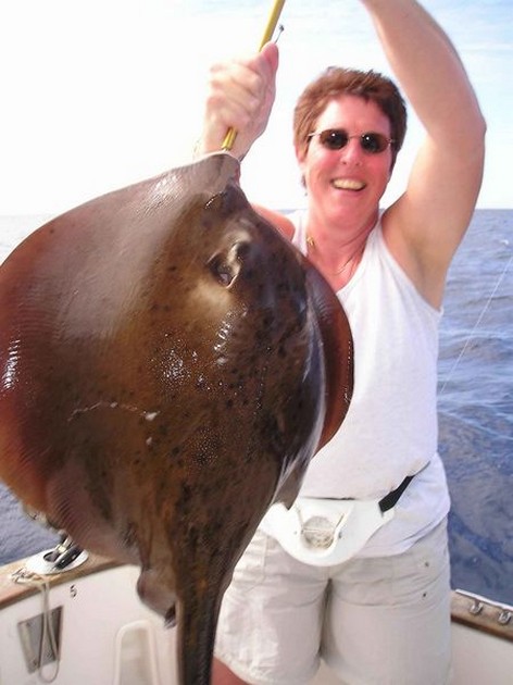 roughtail stingray Cavalier & Blue Marlin Sport Fishing Gran Canaria