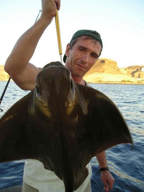 eagle ray Cavalier & Blue Marlin Sport Fishing Gran Canaria