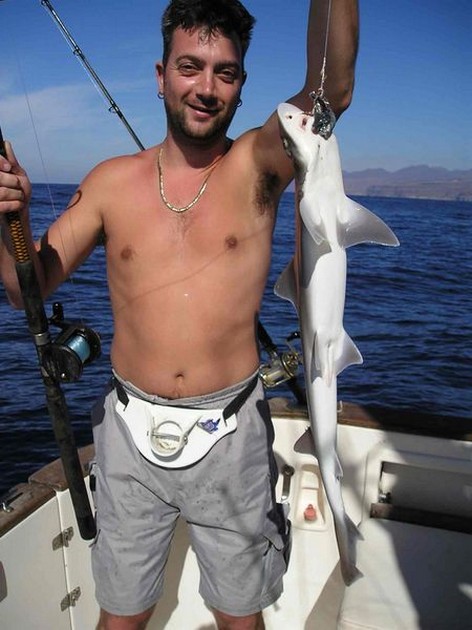 tope Cavalier & Blue Marlin Sport Fishing Gran Canaria