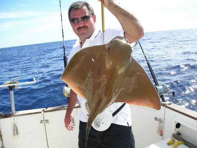 eagle ray Cavalier & Blue Marlin Sport Fishing Gran Canaria