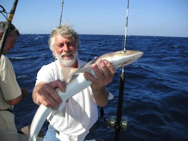 smooth hound Cavalier & Blue Marlin Sport Fishing Gran Canaria