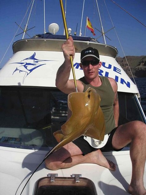 eagle ray Cavalier & Blue Marlin Sport Fishing Gran Canaria