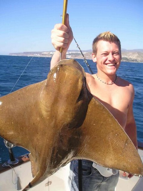 cownose ray Cavalier & Blue Marlin Sport Fishing Gran Canaria