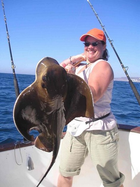 cownose ray Cavalier & Blue Marlin Sport Fishing Gran Canaria