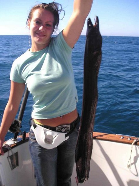brown moray eel Cavalier & Blue Marlin Sport Fishing Gran Canaria