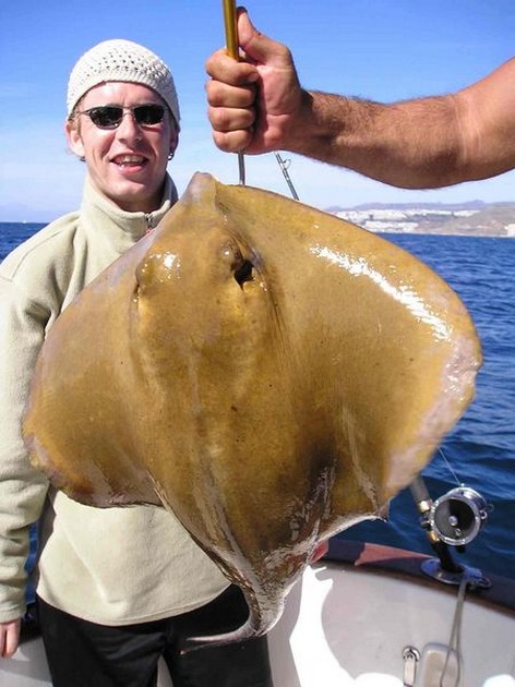 common stingray Cavalier & Blue Marlin Sport Fishing Gran Canaria