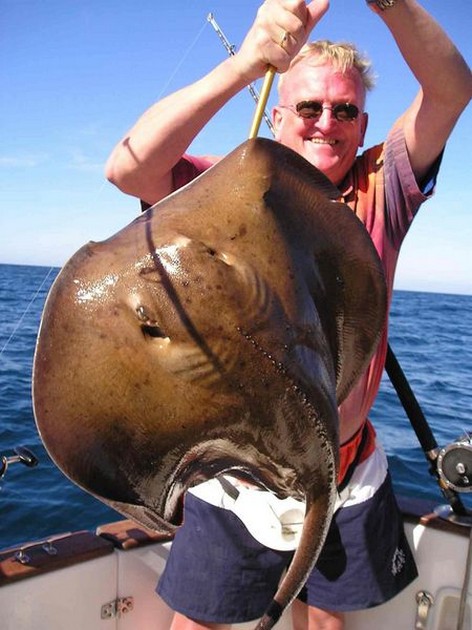 round stingray Cavalier & Blue Marlin Sport Fishing Gran Canaria