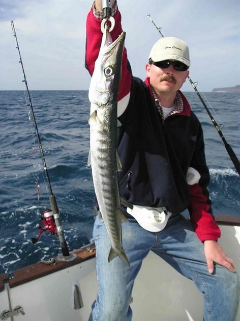 baracuda Cavalier & Blue Marlin Sport Fishing Gran Canaria