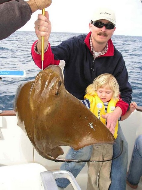 eagle ray Cavalier & Blue Marlin Sport Fishing Gran Canaria