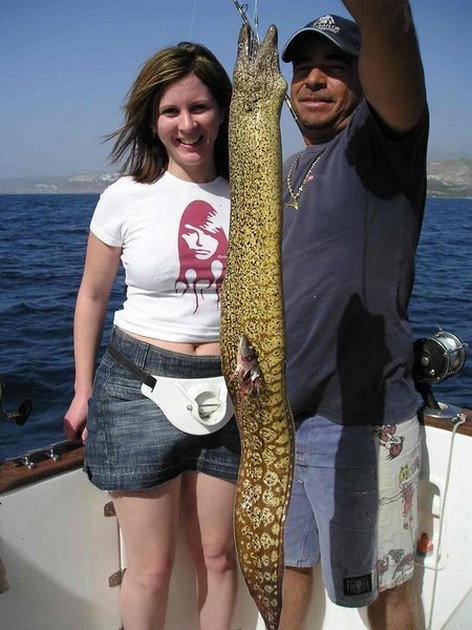 tiger moray Cavalier & Blue Marlin Sport Fishing Gran Canaria