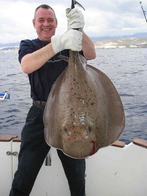 round stingray Cavalier & Blue Marlin Sport Fishing Gran Canaria