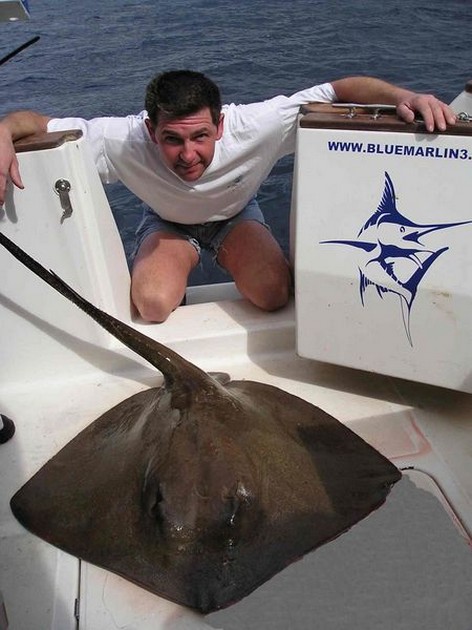 common stingray Cavalier & Blue Marlin Sport Fishing Gran Canaria