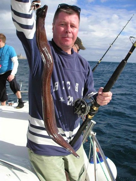 brown moray eel Cavalier & Blue Marlin Sport Fishing Gran Canaria