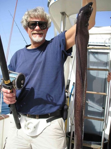 brown moray eel Cavalier & Blue Marlin Sport Fishing Gran Canaria