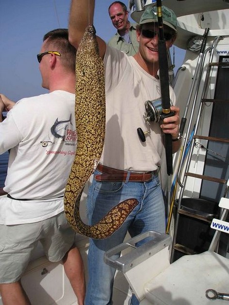 tiger moray Cavalier & Blue Marlin Sport Fishing Gran Canaria