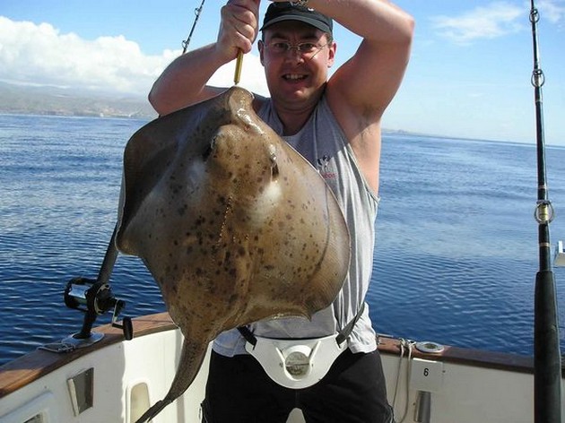 round stingray Cavalier & Blue Marlin Sport Fishing Gran Canaria