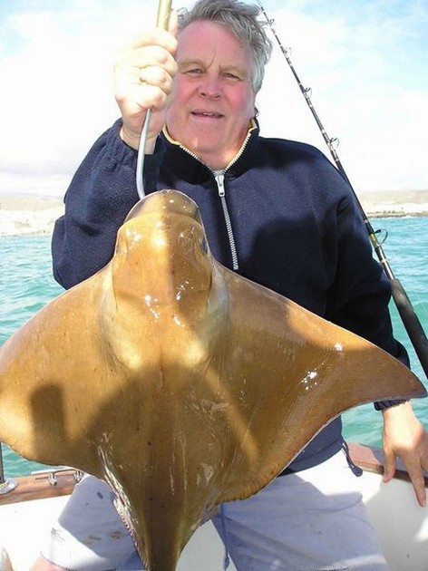 cownose ray Cavalier & Blue Marlin Sport Fishing Gran Canaria