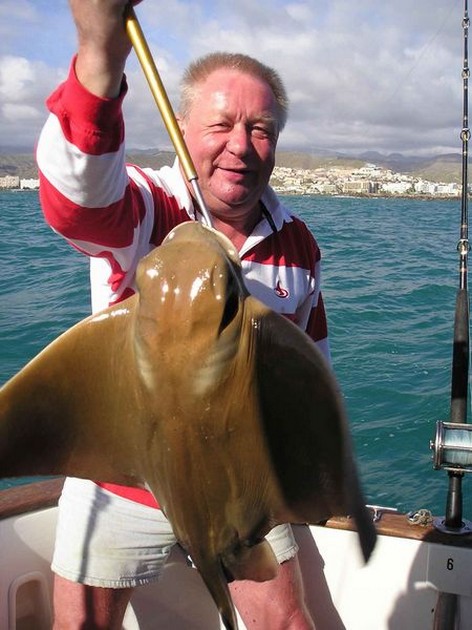 cownose ray Cavalier & Blue Marlin Sport Fishing Gran Canaria