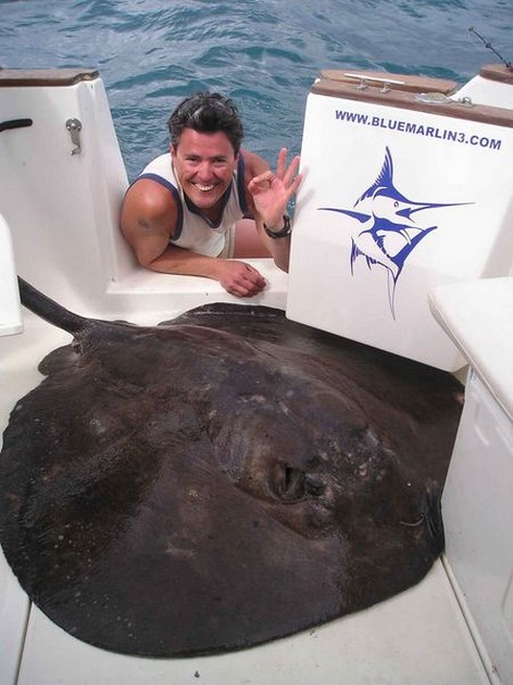 round stingray Cavalier & Blue Marlin Sport Fishing Gran Canaria