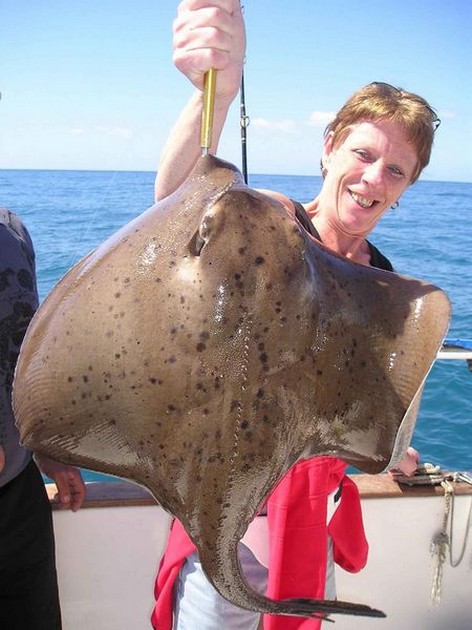 round stingray Cavalier & Blue Marlin Sport Fishing Gran Canaria