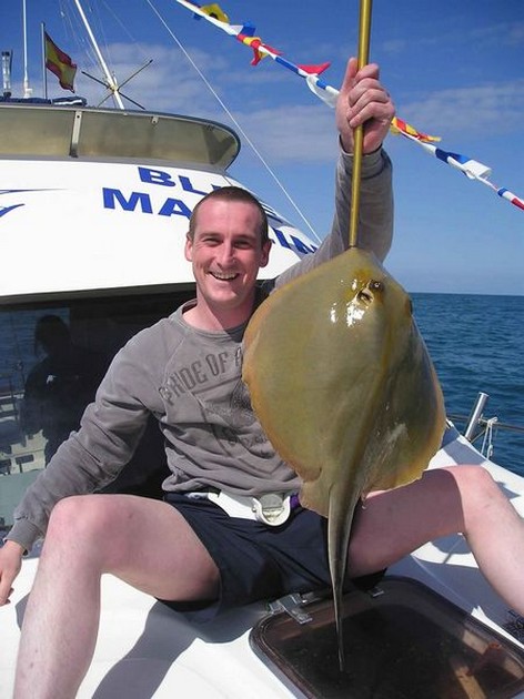 common stingray Cavalier & Blue Marlin Sport Fishing Gran Canaria