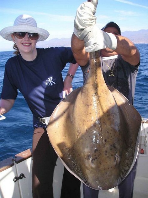 roughtail stingray Cavalier & Blue Marlin Sport Fishing Gran Canaria