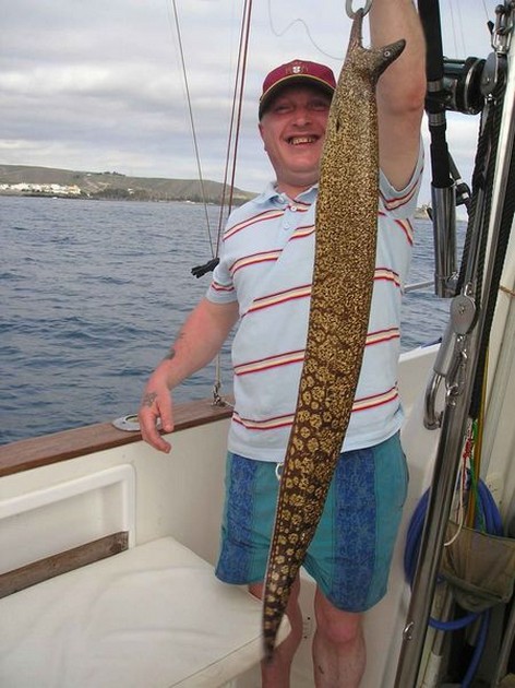 tiger moray Cavalier & Blue Marlin Sport Fishing Gran Canaria