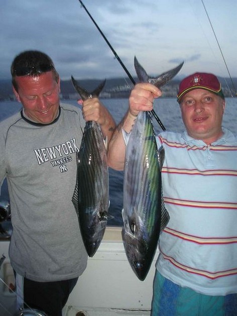 north atlantic bonito Cavalier & Blue Marlin Sport Fishing Gran Canaria