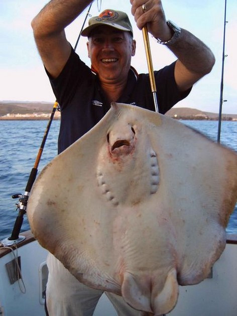 common stingray Cavalier & Blue Marlin Sport Fishing Gran Canaria