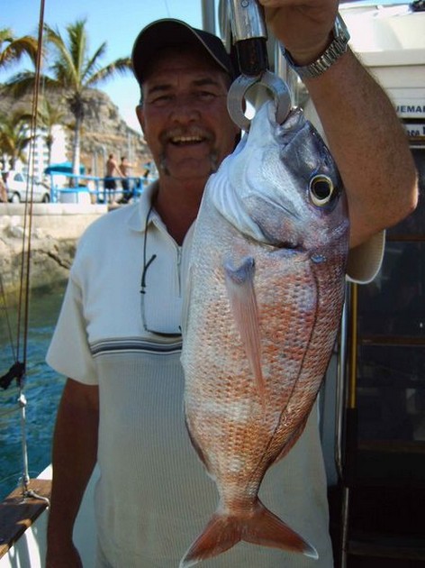 red snapper Cavalier & Blue Marlin Sport Fishing Gran Canaria