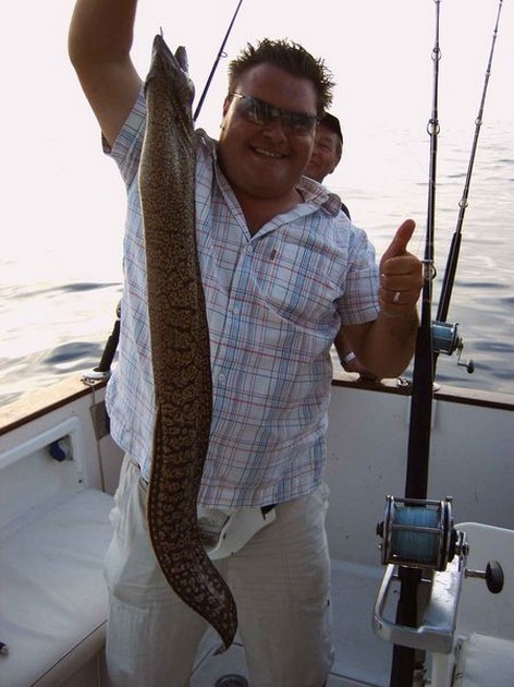 tiger moray Cavalier & Blue Marlin Sport Fishing Gran Canaria