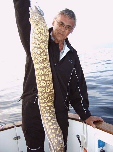 tiger moray Cavalier & Blue Marlin Sport Fishing Gran Canaria
