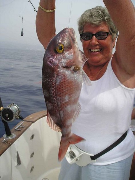 red snapper Cavalier & Blue Marlin Sport Fishing Gran Canaria