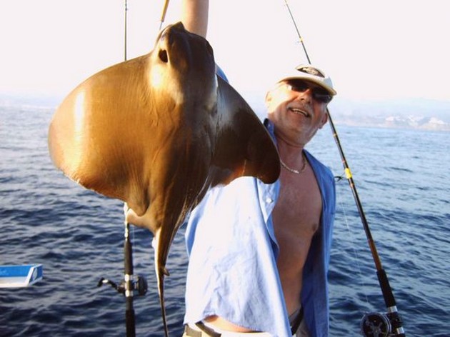 eagle ray Cavalier & Blue Marlin Sport Fishing Gran Canaria