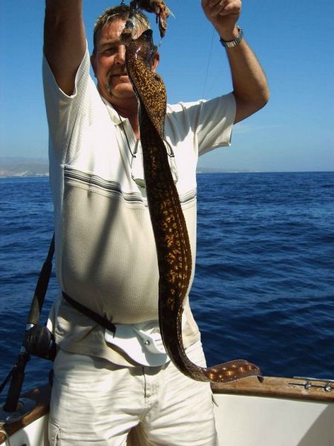 tiger moray Cavalier & Blue Marlin Sport Fishing Gran Canaria