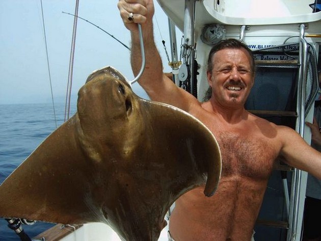 cownose ray Cavalier & Blue Marlin Sport Fishing Gran Canaria