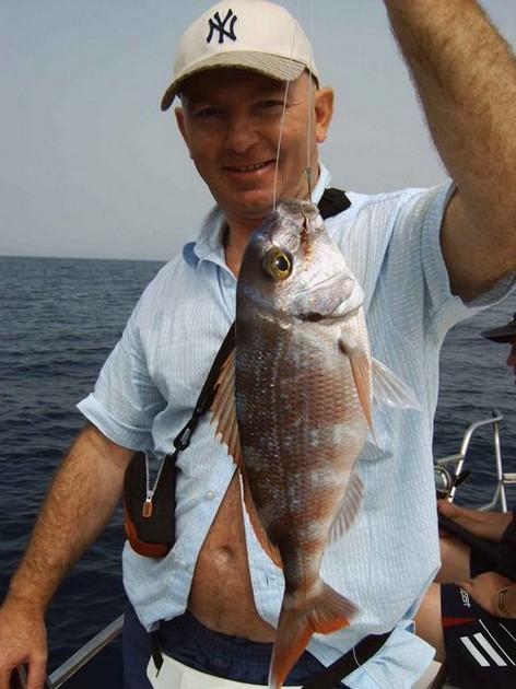 redbanded seabream Cavalier & Blue Marlin Sport Fishing Gran Canaria